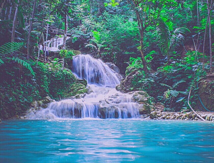 Troy VanDusen – Popular in Europe