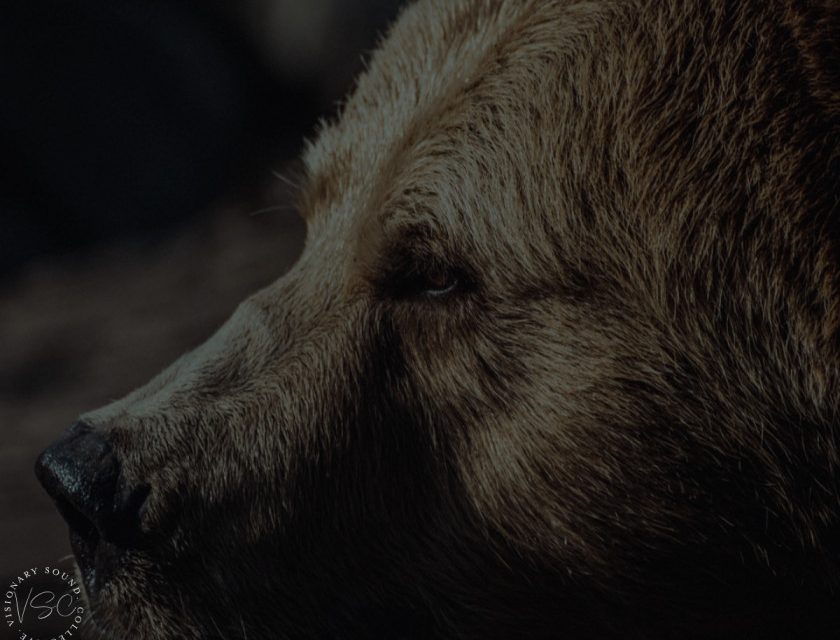 Malleous – The Vision