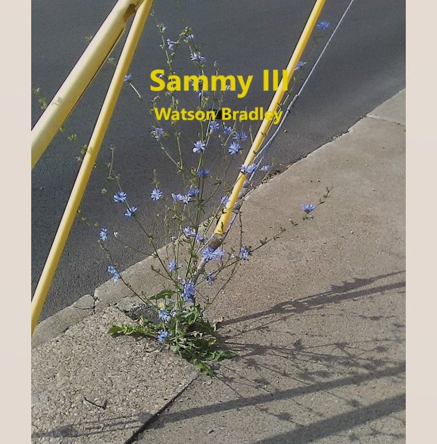 Watson Bradley – Sammy III
